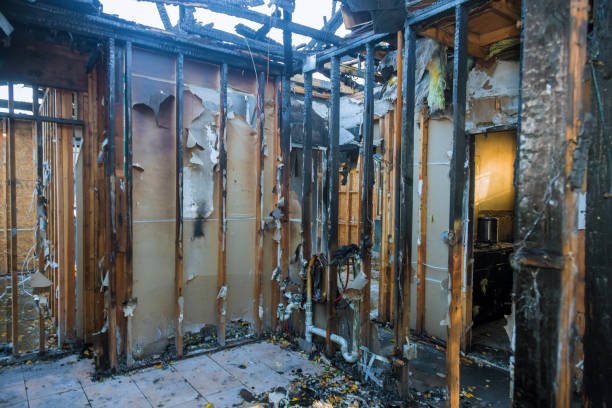 Professional Smoke Damage Restoration technician working in Osprey, FL